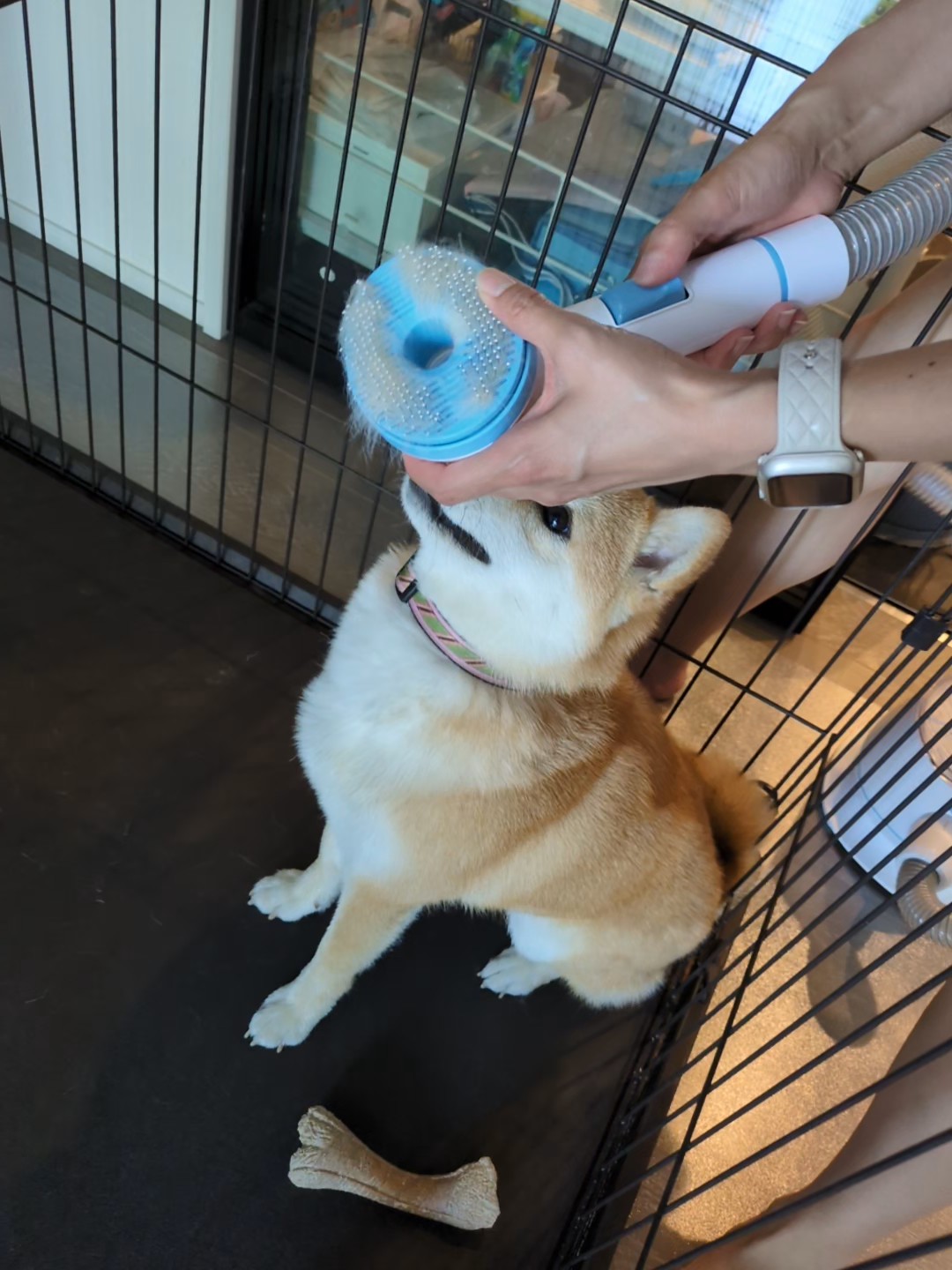 AsyPets ペットグルーミングクリーナー
