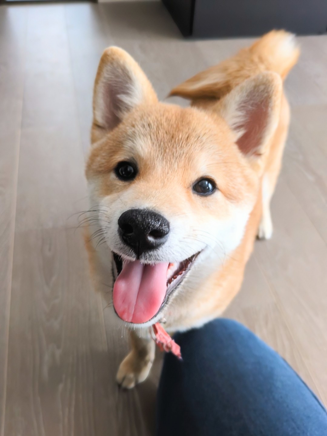 ニコニコ顔のすず